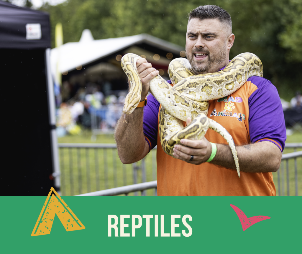 Alderfest Activities Headers Website (1) 05